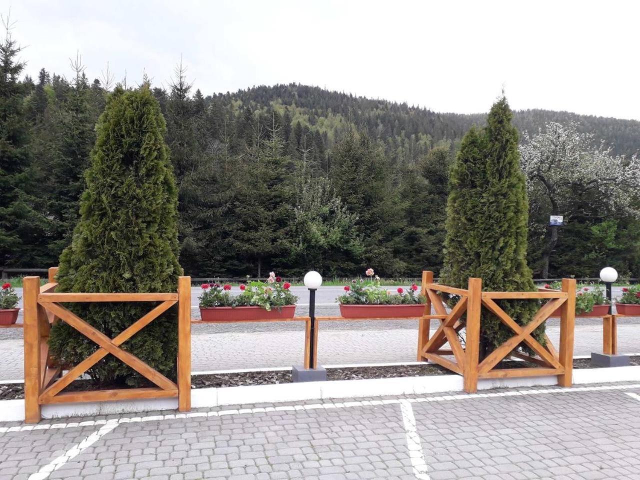 Готель Ольга Boekovel Buitenkant foto